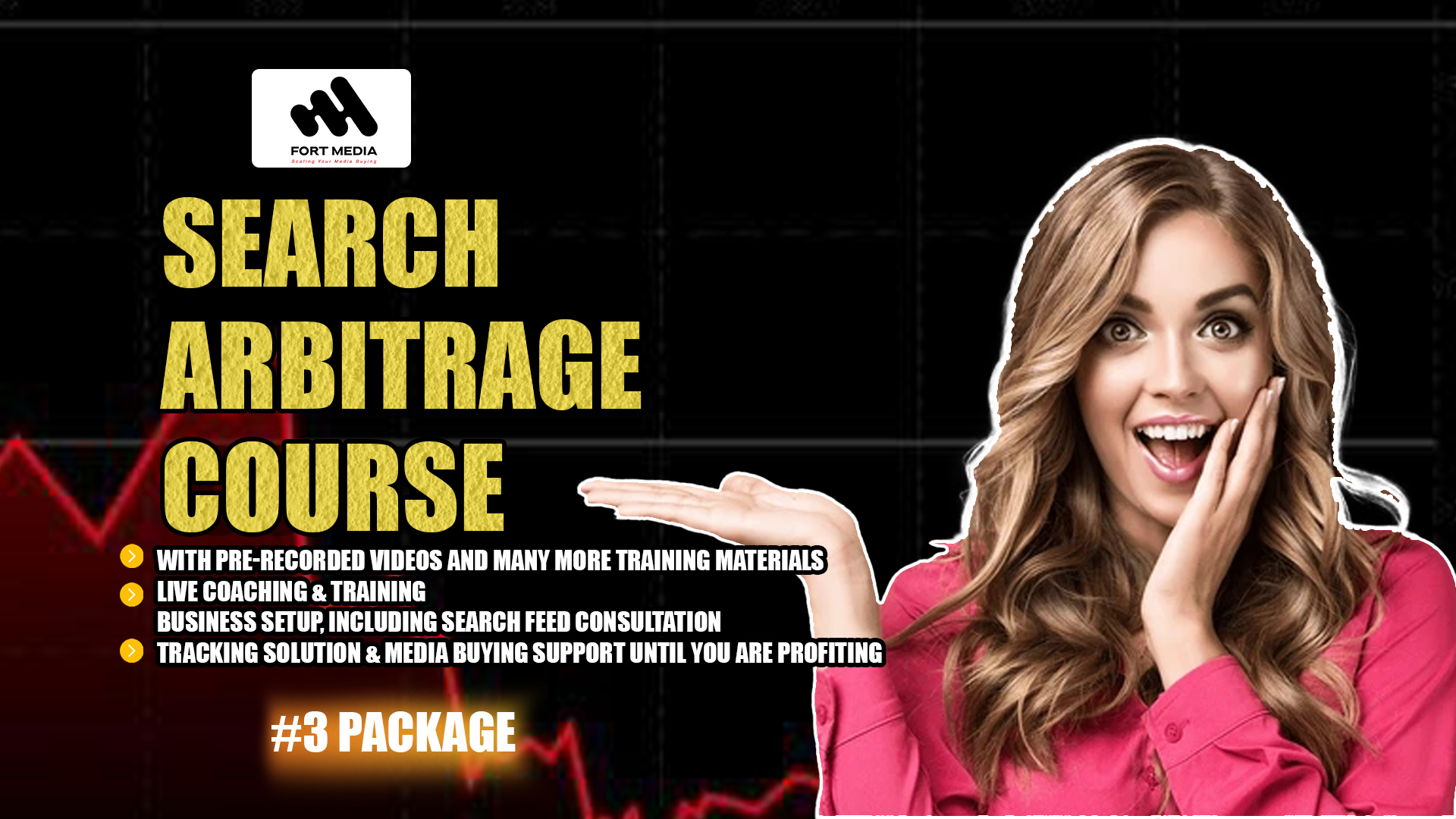 Package 3 – Search Arbitrage Course for Enterprise – Full Business setup